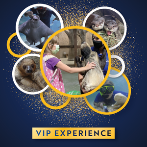 4 VIP Experience Passes to SeaQuest