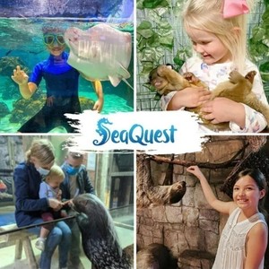 4 Annual Passes to SeaQuest