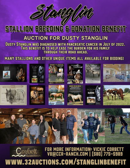 Stallion Breeding Auction