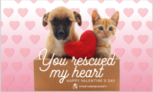 You Rescued My Heart-Goodie Bag and Card