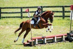 58. Horse Show Photography