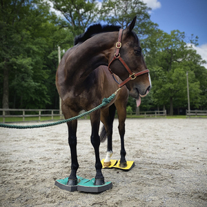 61. SURE FOOT Stability Pads Demo w Wendy Murdoch!