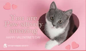 You Are Paw-sitively Amazing-Goodie Bag and Card