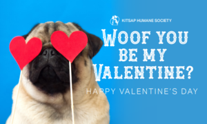 Woof You Be My Valentine?-Goodie Bag and Card