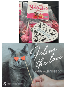 Feline The Love-Goodie Bag and Card