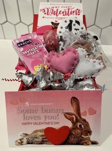 Some Bunny Loves You-Goodie Bag and Card