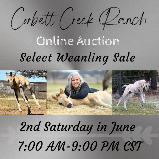 Corbett Creek Ranch Select Sale