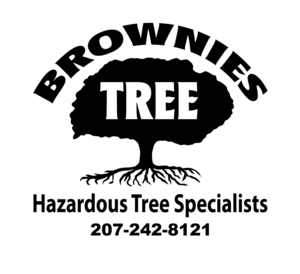 Brownies Tree