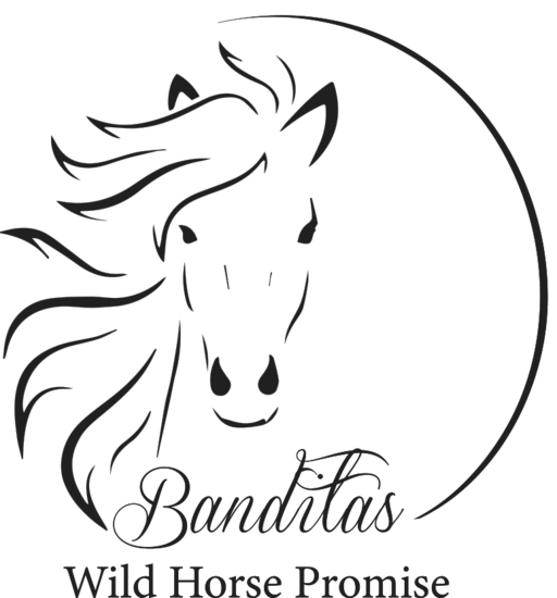 Banditas Wild Horse Promise