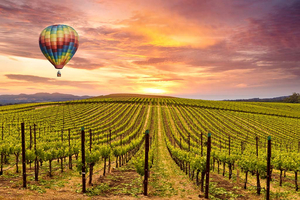 Napa from the Air for Two | California