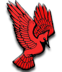Franklinville Elementary PTO
