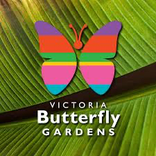 Victoria Butterfly Gardens