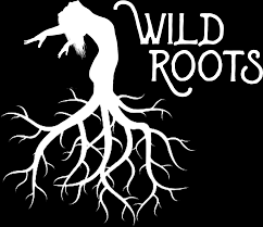 Wild Roots Dance & Yoga