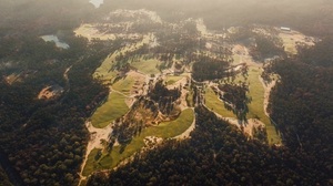The Tree Farm