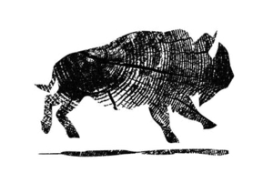 Brandon T. Brown Wilderness Gallery