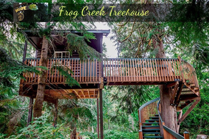 Treehouse Adventure