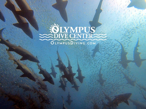 North Carolina 2D/2N Dive/Lodge/Nitrox Package