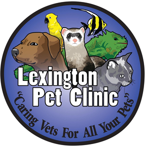 Comprehensive Wellness Check, Glands, & Nails