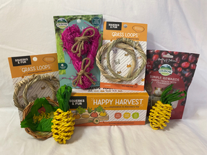 Small Pet Enrichment Set 11