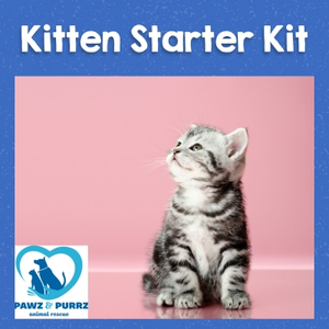 Kitten Starter Kit