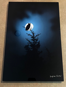 "Night Owl" Photo Print