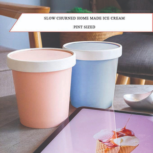 Homemade Slow Churned Ice Cream Duo