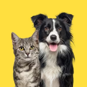 MudBay Gift Certificate + Humane Society Donation